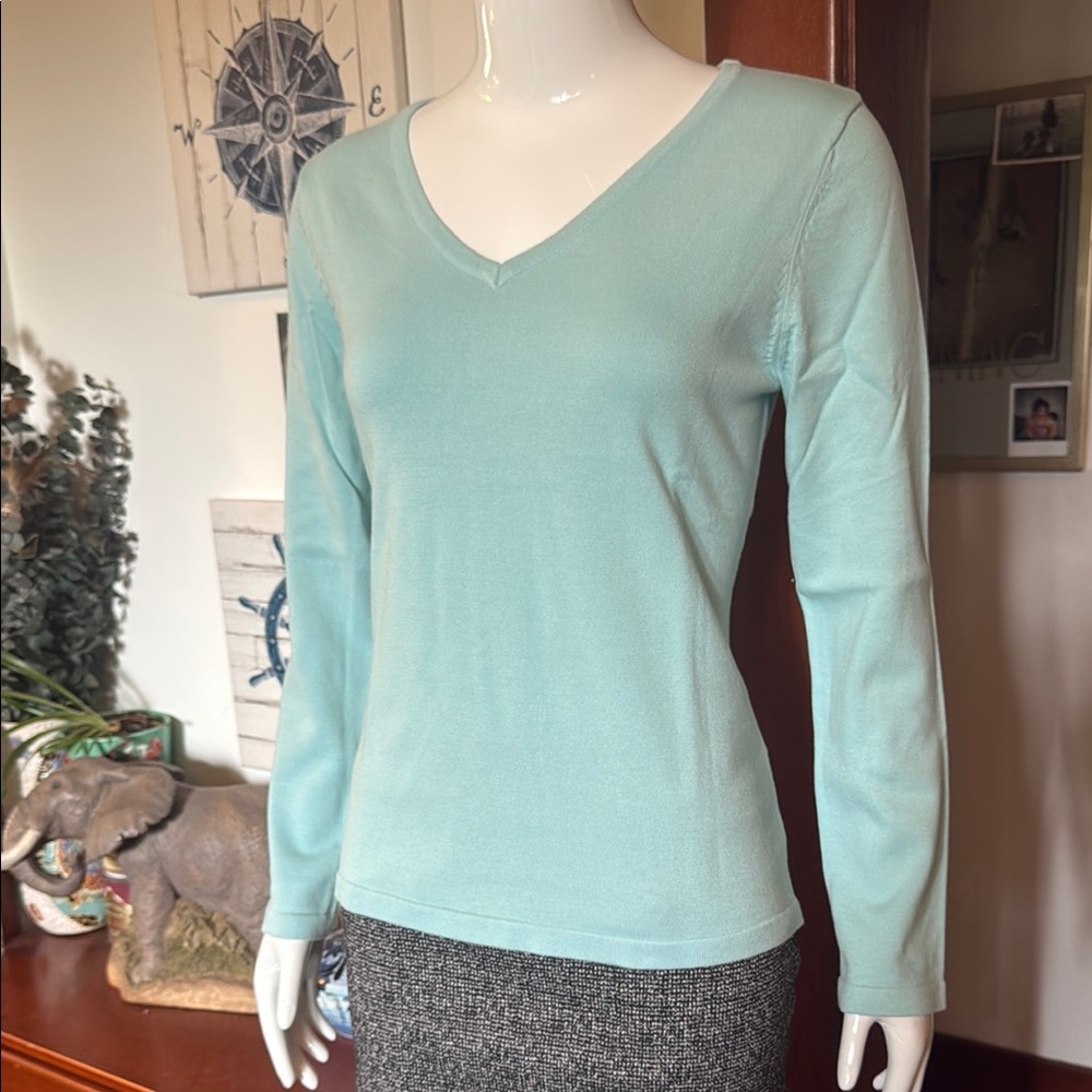 NWT northern reflections size small Light Blue/green V-Neck Long Sleeve Top